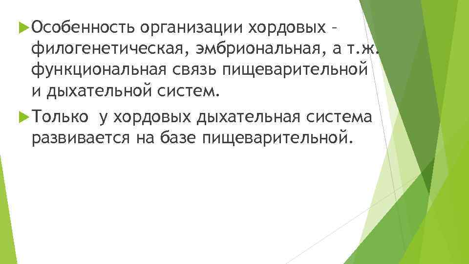  Особенность организации хордовых – филогенетическая, эмбриональная, а т. ж. функциональная связь пищеварительной и