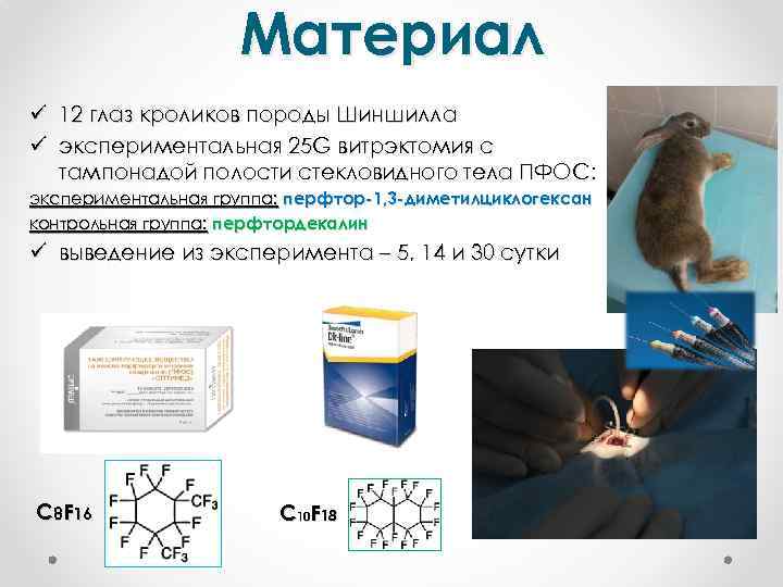 Материал ü 12 глаз кроликов породы Шиншилла ü экспериментальная 25 G витрэктомия с тампонадой