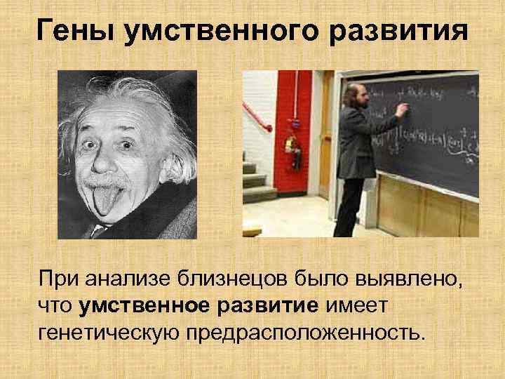 Гены умственного развития При анализе близнецов было выявлено, что умственное развитие имеет генетическую предрасположенность.