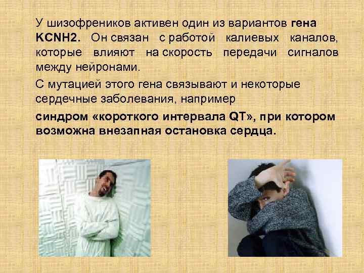 У шизофреников активен один из вариантов гена KCNH 2. Он связан с работой калиевых