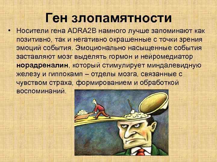 Ген злопамятности • Носители гена ADRA 2 B намного лучше запоминают как позитивно, так