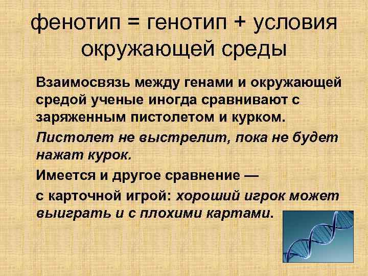 Фенотип признак ген. Генотип и фенотип. Генотип и фенотип определение. Генотип и фенотип их взаимосвязь. Влияние генотипа на фенотип.