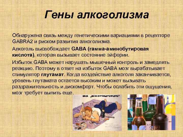 Гены алкоголизма Обнаружена связь между генетическими вариациями в рецепторе GABRA 2 и риском развития