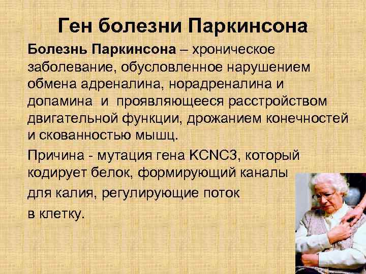 Ген болезни Паркинсона Болезнь Паркинсона – хроническое заболевание, обусловленное нарушением обмена адреналина, норадреналина и