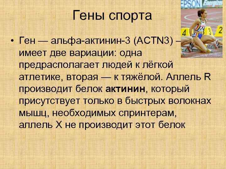 Ген альфа. Actn3 ген. Гены и спорт. Актинин 3. Альфа актинин 3.