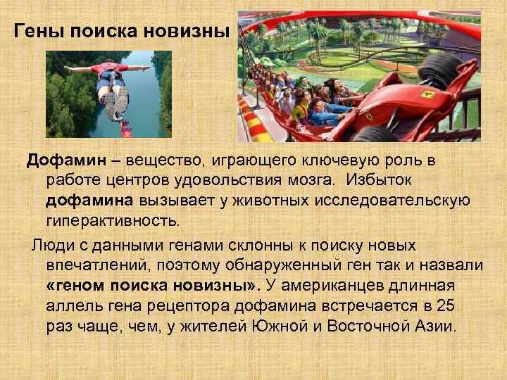  Гены поиска новизны Дофамин – вещество, играющего ключевую роль в работе центров удовольствия