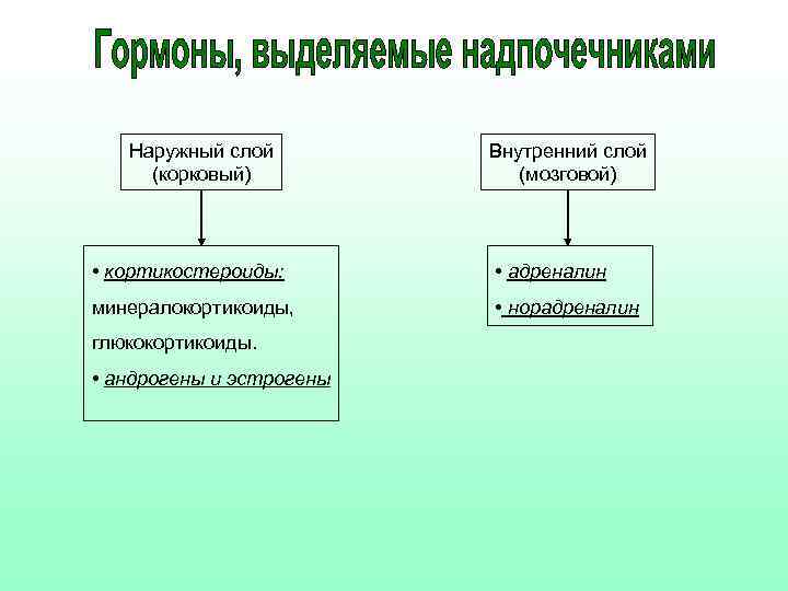 Наружный слой (корковый) Внутренний слой (мозговой) • кортикостероиды: • адреналин минералокортикоиды, • норадреналин глюкокортикоиды.