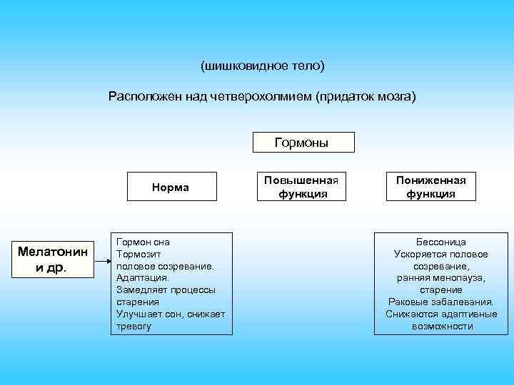 (шишковидное тело) Расположен над четверохолмием (придаток мозга) Гормоны Норма Мелатонин и др. Гормон сна