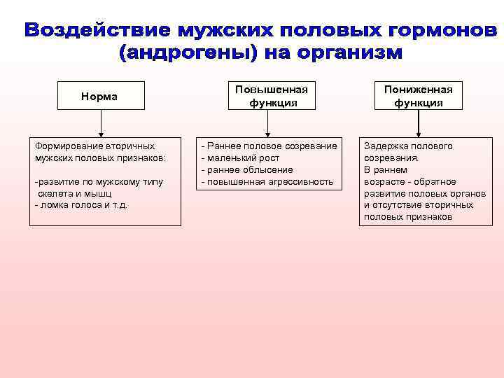 Норма Формирование вторичных мужских половых признаков: -развитие по мужскому типу скелета и мышц -