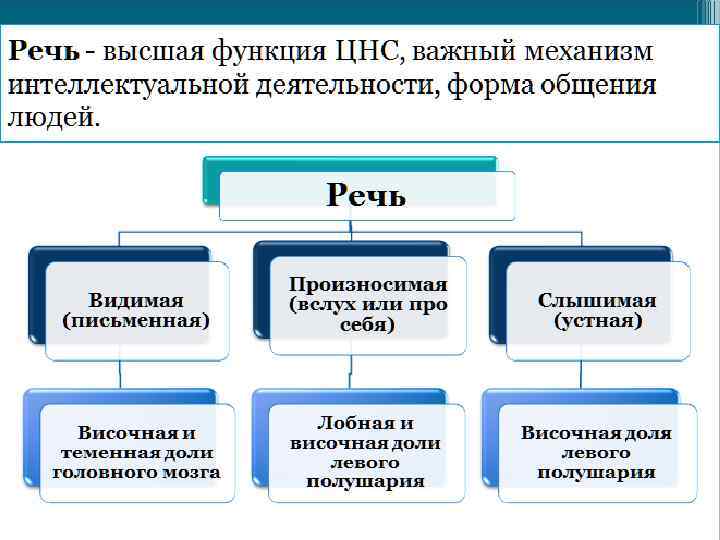 Сигнальная система картинки