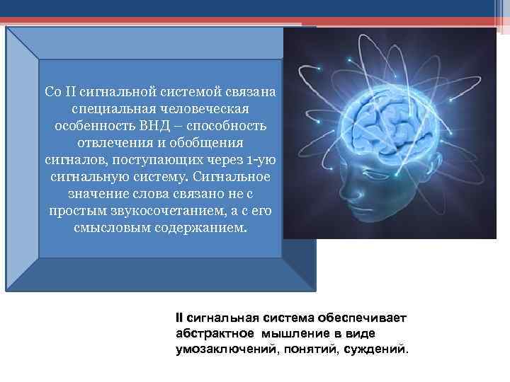 Со II сигнальной системой связана специальная человеческая особенность ВНД – способность отвлечения и обобщения