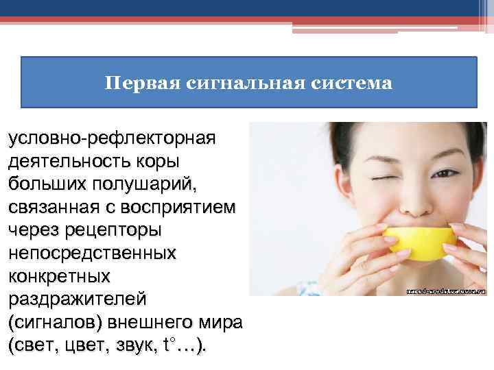Первая сигнальная система условно-рефлекторная деятельность коры больших полушарий, связанная с восприятием через рецепторы непосредственных
