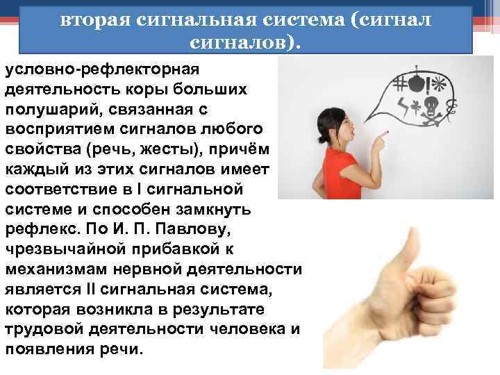 вторая сигнальная система (сигналов). условно-рефлекторная деятельность коры больших полушарий, связанная с восприятием сигналов любого