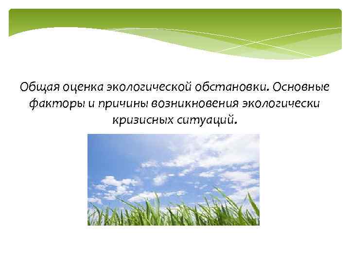 Общая оценка экологической обстановки. Основные факторы и причины возникновения экологически кризисных ситуаций. 