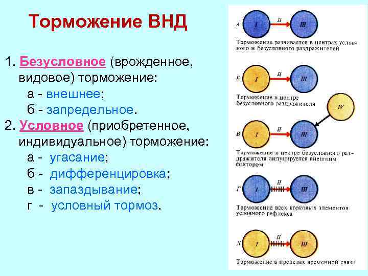 Запредельное торможение картинки