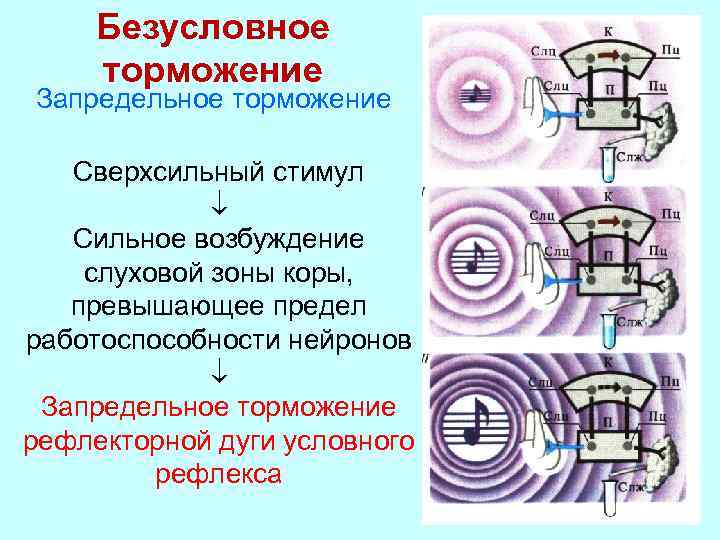 Запредельное торможение картинки