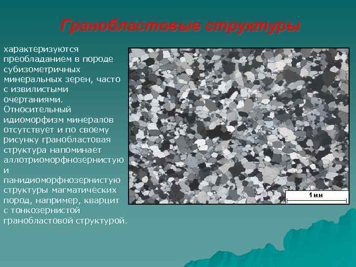 Гранобластовые структуры характеризуются преобладанием в породе субизометричных минеральных зерен, часто с извилистыми очертаниями. Относительный
