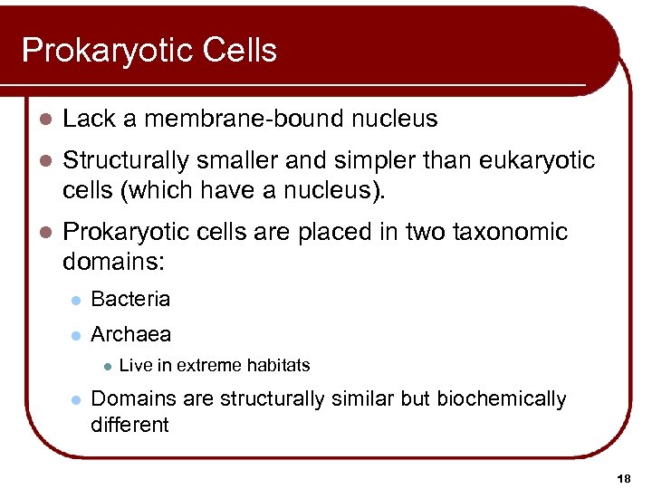 Prokaryotic Cells l Lack a membrane-bound nucleus l Structurally smaller and simpler than eukaryotic