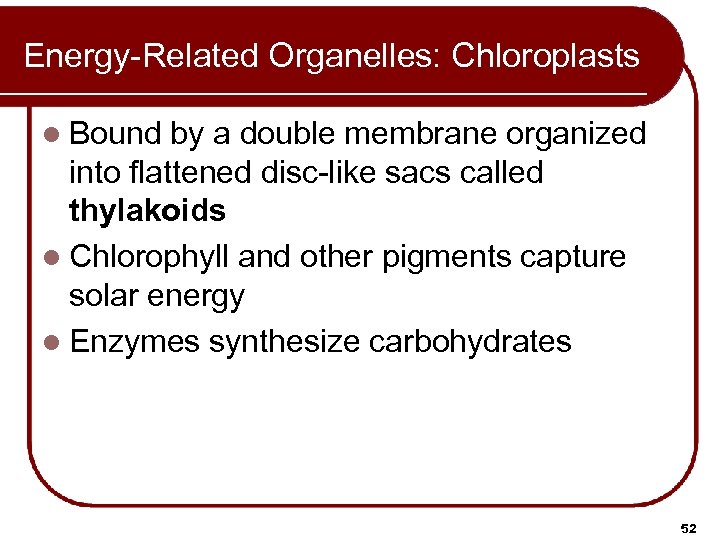 Energy-Related Organelles: Chloroplasts l Bound by a double membrane organized into flattened disc-like sacs