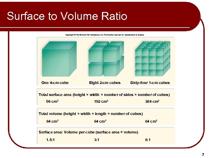 Surface to Volume Ratio Copyright © The Mc. Graw-Hill Companies, Inc. Permission required for