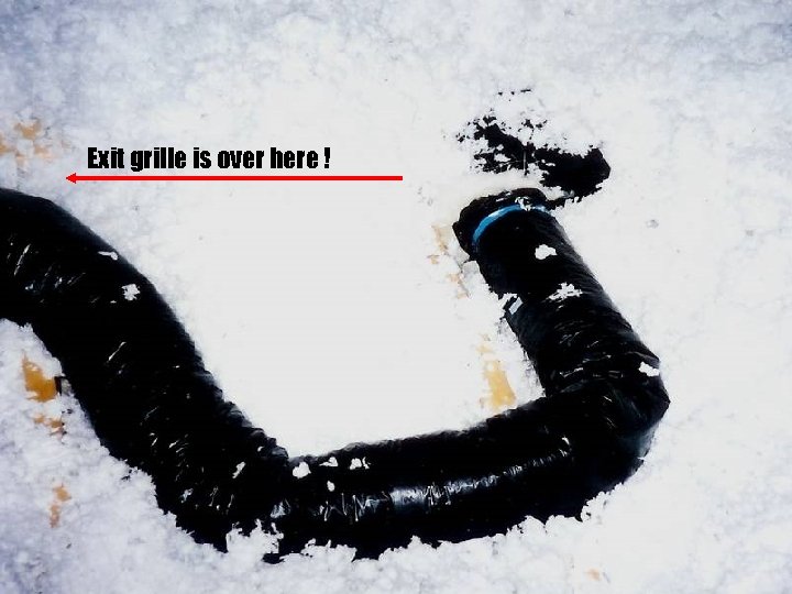 Exit grille is over here ! 