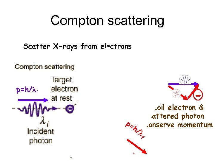 Compton scattering Scatter X-rays from electrons p=h/li - p= h/ l f Recoil electron