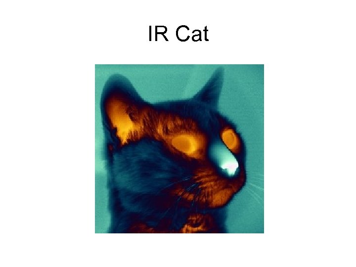 IR Cat 