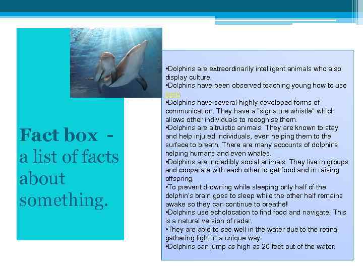 Fact box - a list of facts about something. • Dolphins are extraordinarily intelligent