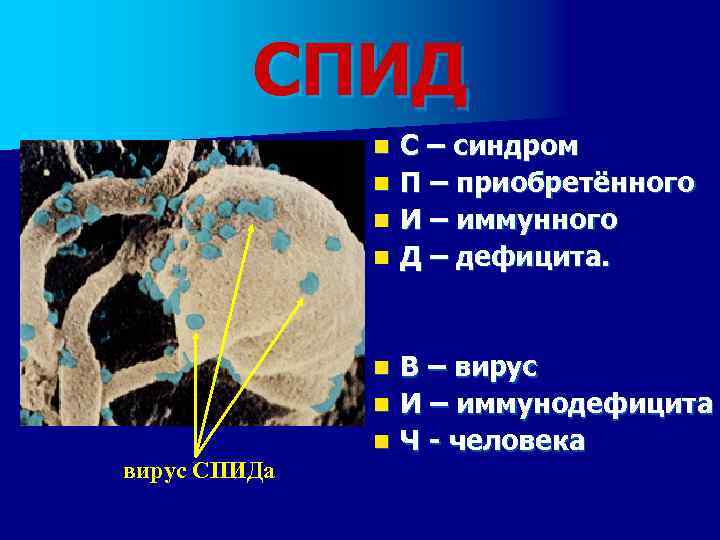 СПИД n n В – вирус n И – иммунодефицита n Ч - человека