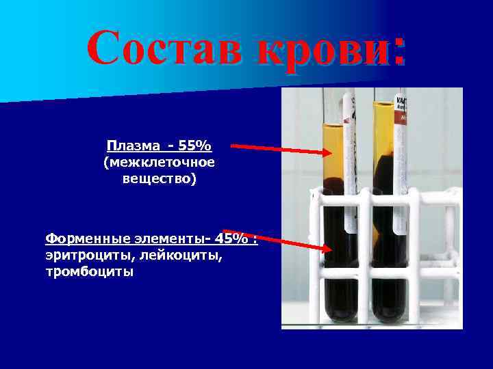 Состав крови: Плазма - 55% (межклеточное вещество) Форменные элементы- 45% : эритроциты, лейкоциты, тромбоциты