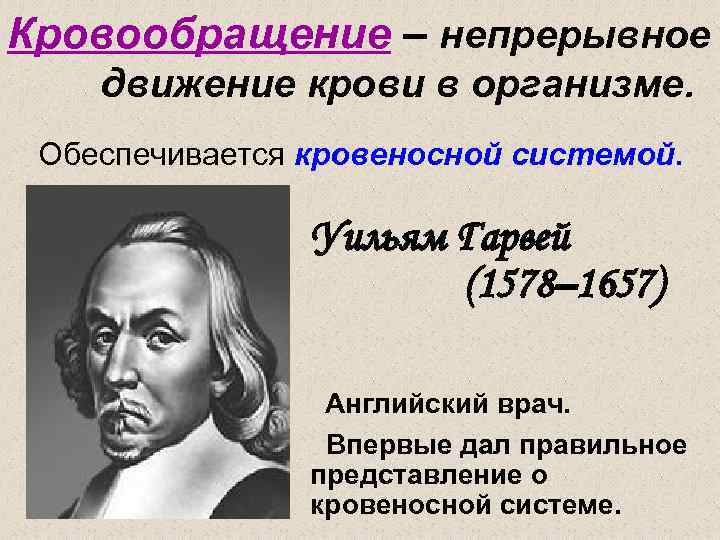 Кровообращение – непрерывное движение крови в организме. Обеспечивается кровеносной системой. Уильям Гарвей (1578– 1657)