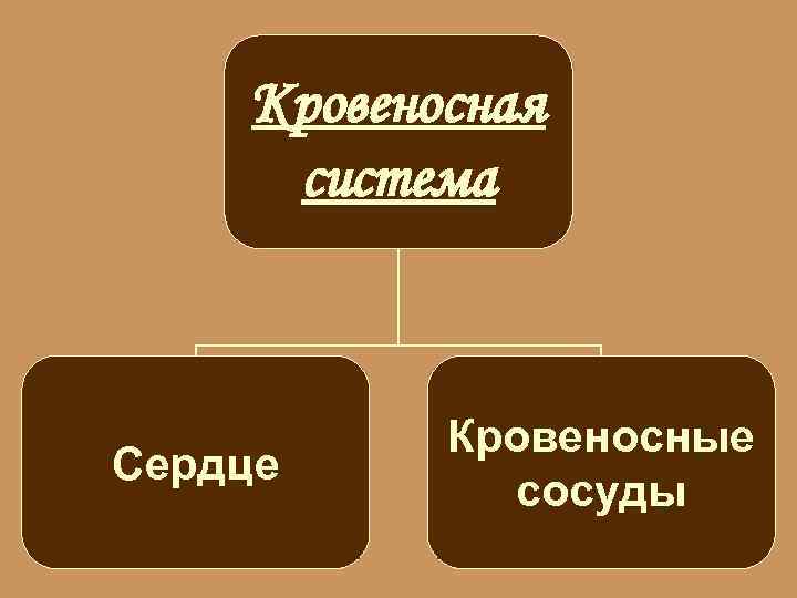 Кровеносная система Сердце Кровеносные сосуды 