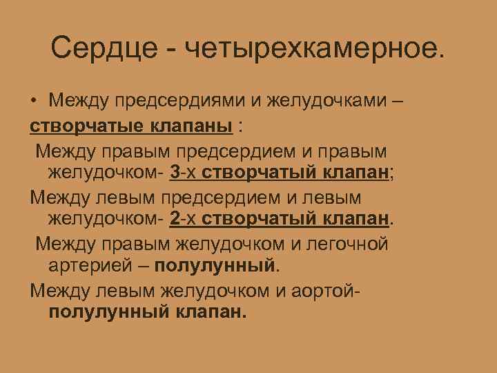 Сердце - четырехкамерное. • Между предсердиями и желудочками – створчатые клапаны : Между правым