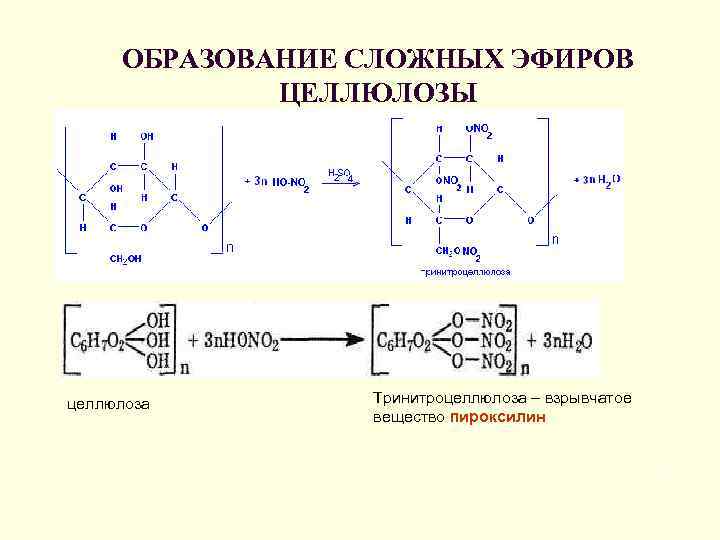 ОБРАЗОВАНИЕ СЛОЖНЫХ ЭФИРОВ ЦЕЛЛЮЛОЗЫ целлюлоза Тринитроцеллюлоза – взрывчатое вещество пироксилин 12 