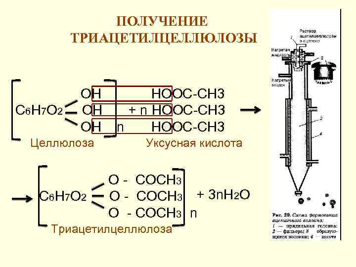 ПОЛУЧЕНИЕ ТРИАЦЕТИЛЦЕЛЛЮЛОЗЫ С 6 Н 7 О 2 ОН ОН ОН Целлюлоза С 6