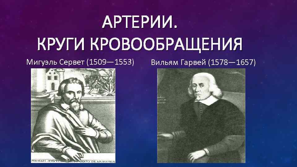 АРТЕРИИ. КРУГИ КРОВООБРАЩЕНИЯ Мигуэль Сервет (1509— 1553) Вильям Гарвей (1578— 1657) 