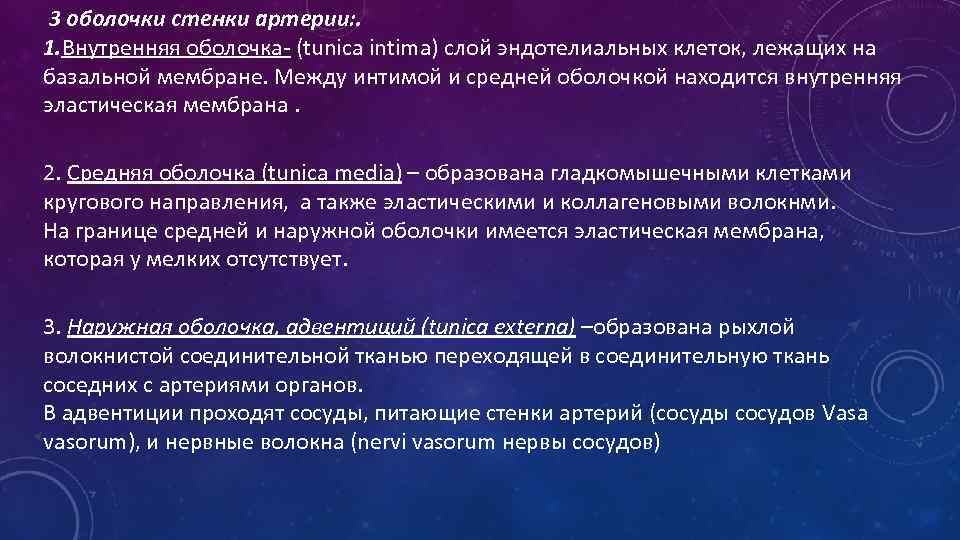 3 оболочки стенки артерии: . 1. Внутренняя оболочка- (tunica intima) слой эндотелиальных клеток, лежащих