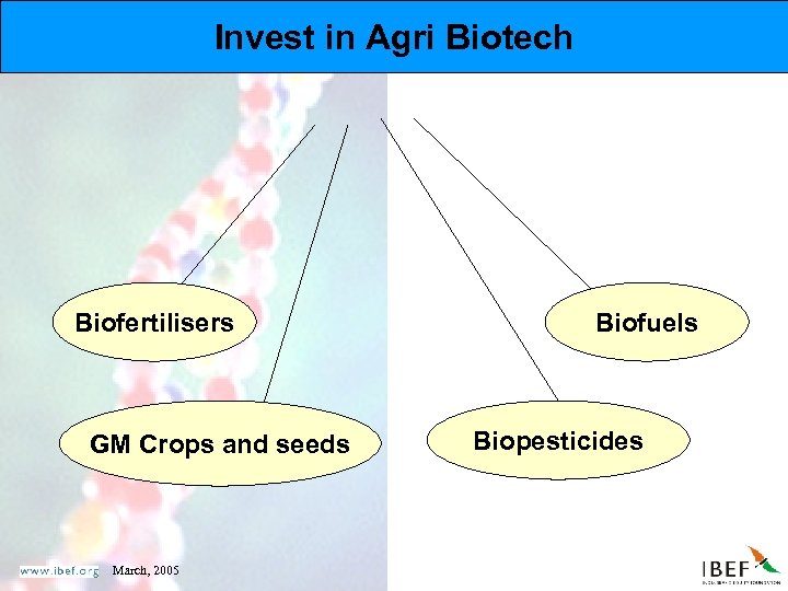 Invest in Agri Biotech Biofertilisers GM Crops and seeds March, 2005 Biofuels Biopesticides 