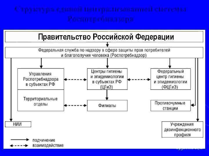 Структура единой централизованной системы Роспотребнадзора 