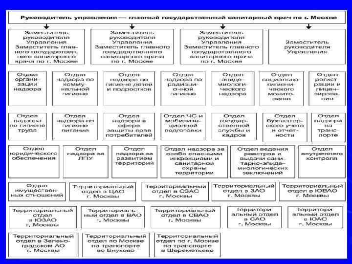 Управление Федеральной службы по надзору в сфере защиты прав потребителей и благополучия человека по