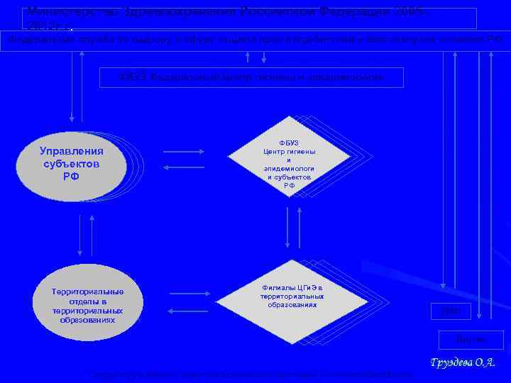 Министерство Здравоохранения Российской Федерации 20052012 г. г. Федеральная служба по надзору в сфере защиты
