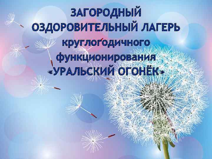 ЗАГОРОДНЫЙ ОЗДОРОВИТЕЛЬНЫЙ ЛАГЕРЬ круглогодичного функционирования «УРАЛЬСКИЙ ОГОНЁК» 