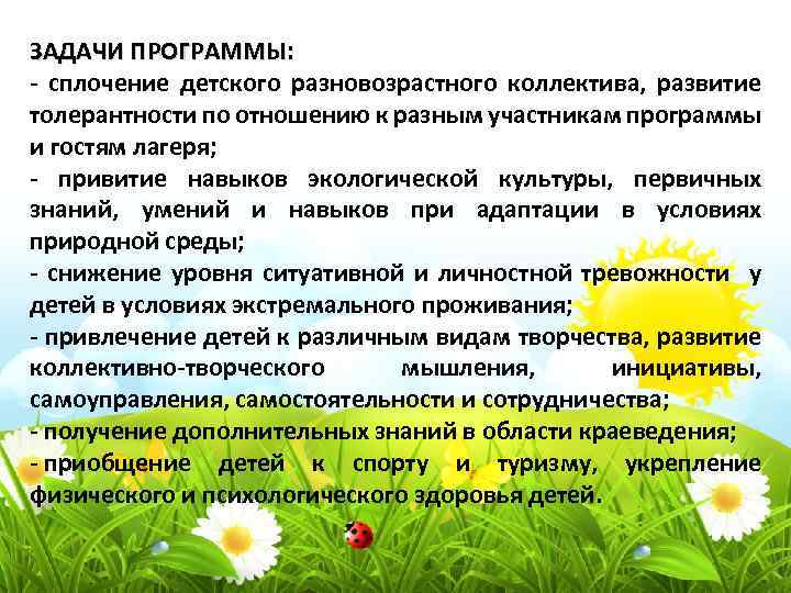 Особенности работы в разновозрастной группе. Особенности Разновозрастного коллектива. Особенности Разновозрастного отряда. Навыки эколога. Особенности работы с разновозрастным отрядом.