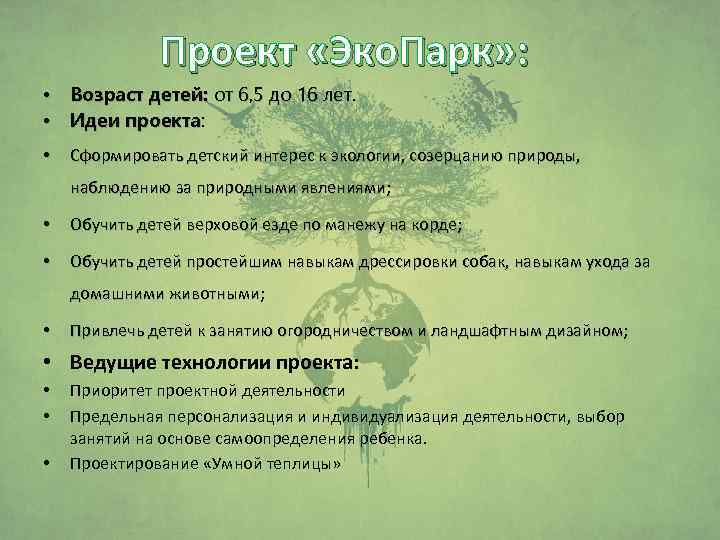 Проект «Эко. Парк» : • • Возраст детей: от 6, 5 до 16 лет.