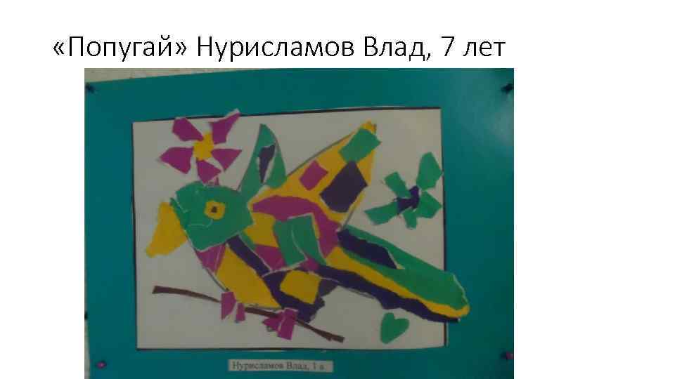  «Попугай» Нурисламов Влад, 7 лет 