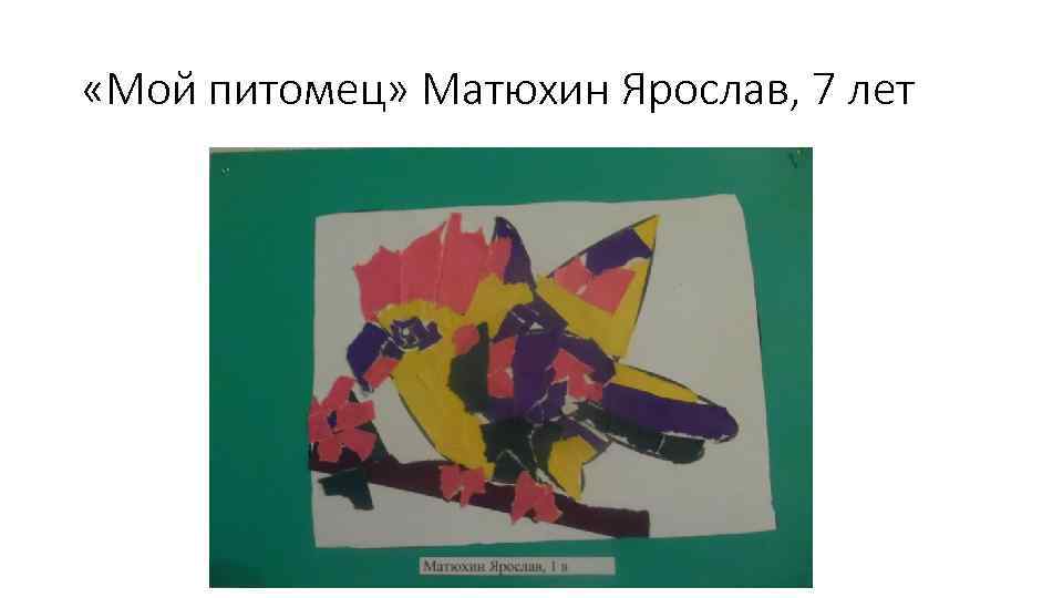  «Мой питомец» Матюхин Ярослав, 7 лет 