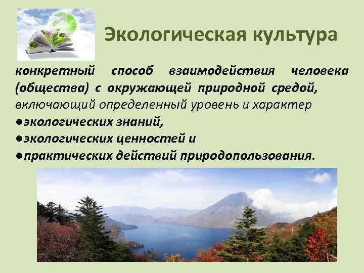 Экологическая культура конкретный способ взаимодействия человека (общества) с окружающей природной средой, включающий определенный уровень