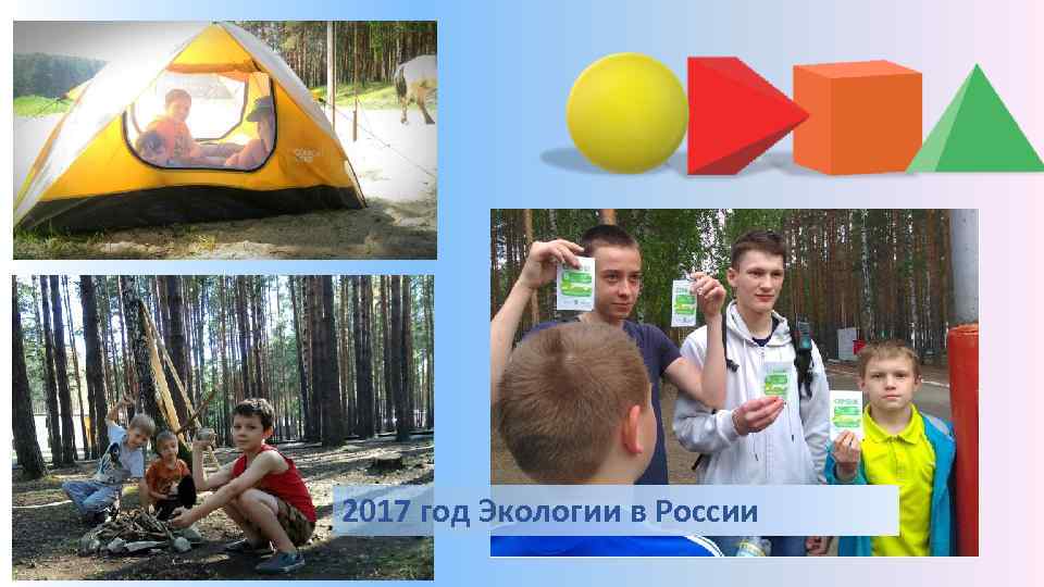 2017 год Экологии в России 