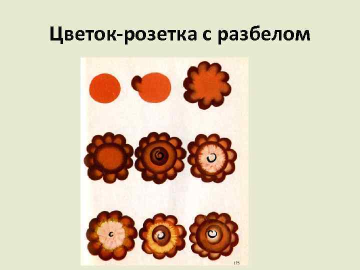 Цветок-розетка с разбелом 