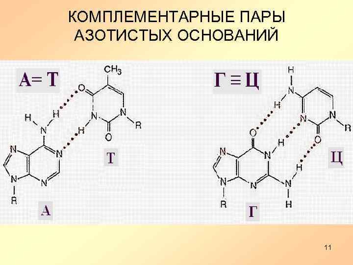 Назовите часть нуклеотида обозначенную на рисунке цифрой 1